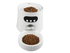 6L Smart Automatic Pet Feeder WiFi Connect with APP Control, Camera and Voice Recording Supported