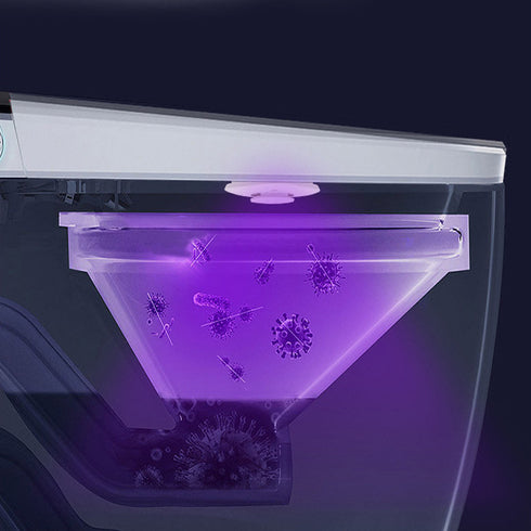 Rechargeable Toilet Sterilizer
