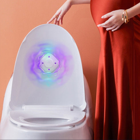 Rechargeable Toilet Sterilizer