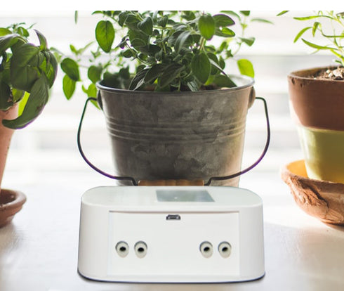 WiFi Tuya Smart Home Sprinkler Timer Charging