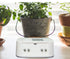 WiFi Tuya Smart Home Sprinkler Timer Charging