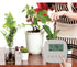 WiFi Tuya Smart Home Sprinkler Timer Charging