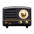 MUZEN OTR Metal Portable FM Radio Bluetooth Speaker-Black
